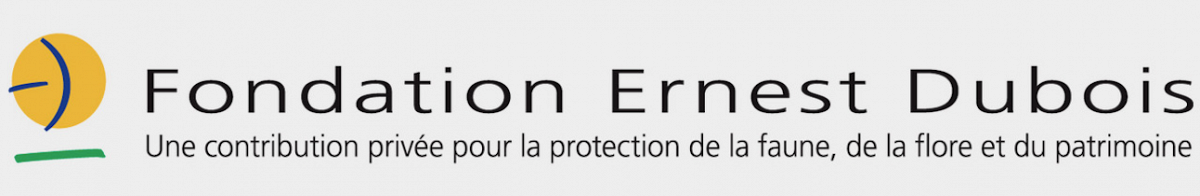 Sponsor: Fondation Ernest Dubois